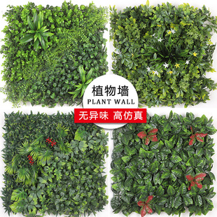 �羳���N ����ֲ�����Gֲ��UV�߶�ֲ�ﱳ�����Gֲ�������ƺ