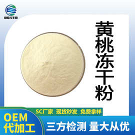 黄桃冻干粉 98%黄桃提取物 黄桃浓缩粉现货 欢迎咨询 黄桃冻干粉