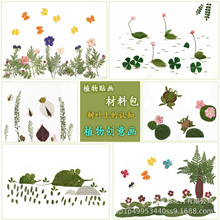幼儿小学生手工diy材料包 树叶贴画干花植物标本儿童早教植物标本