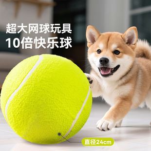 �¿��W�򹷹���������˽␞��������������ҧ�����w����С��