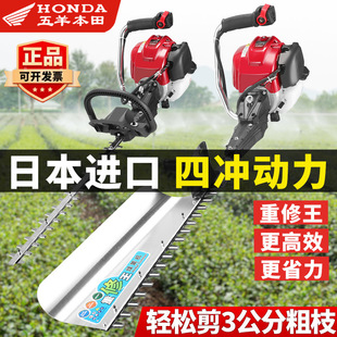 Imported Wuyang Honda Gasoline Hedge Trimmer Tea Tree Pruning Machine Garden Greening Pruning Machine Tea Picking Machine