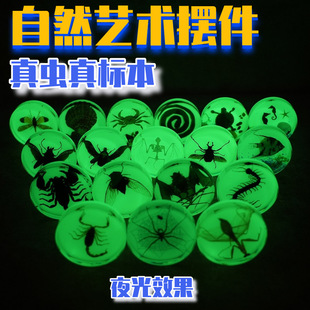 ���z���x�˱��[����������YƷ�����^��Ʒ��֬��ˇƷ