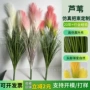 仿真定制软质pvc芦苇