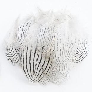 �y�uС���uë��ë������ëDIY�Ʒ������b�b��o����̨ȹ�Ӳ���