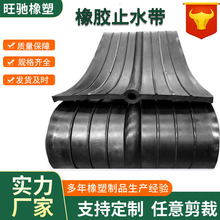 651型652中埋式橡胶止水带闸门P型双P外贴背贴钢边型止水橡胶带