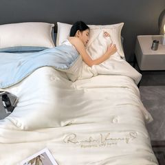 Summer Ice Silk Air Conditioning Quilt, 2024 New Thin Quilt, Washable Quilt Core, Four-Piece Set, Opening Gift