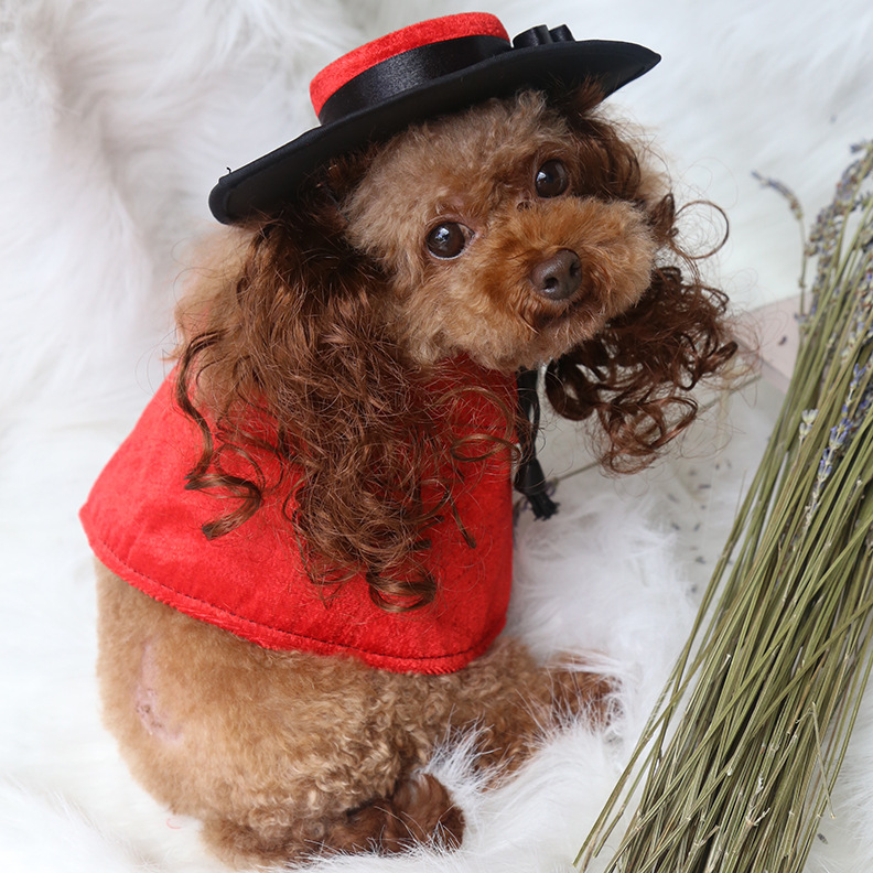 Costume di halloween per cani con mantello e cappello accessori_voghion.com