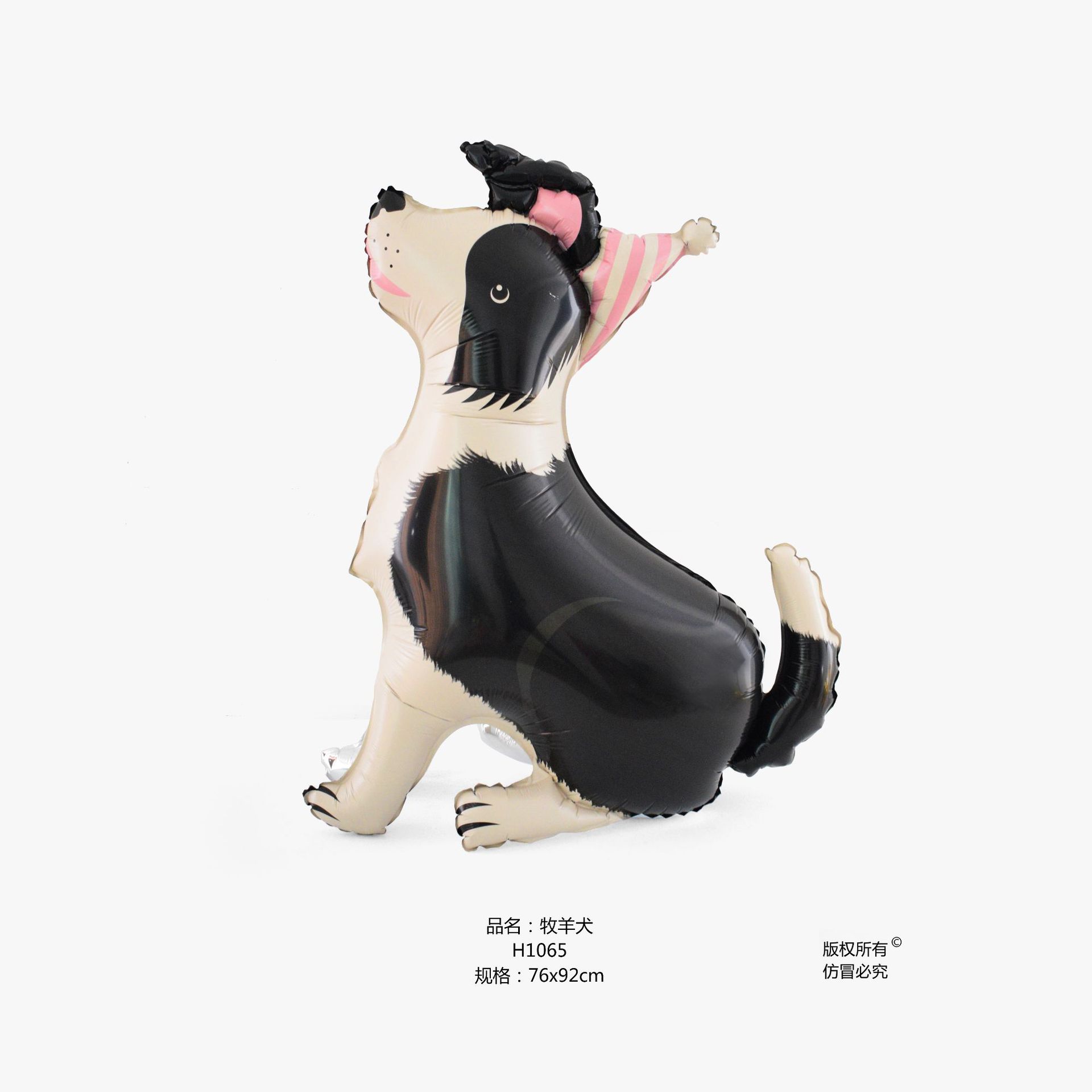 sitting collie