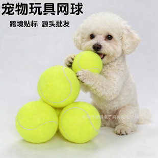 ������������˽␞��������W���ë�»���ҧ��Ӗ��ĥ�������W��