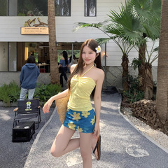 海辺のリゾート風スーツのフランス式ひもを引いて胸のベストの上着の女性の夏の青い花の半身のスカートの2つのセットを拭きます。