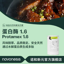诺维信蛋白酶Protamex 1.6 水解蛋白咸味香精 碱性中性复合蛋白酶