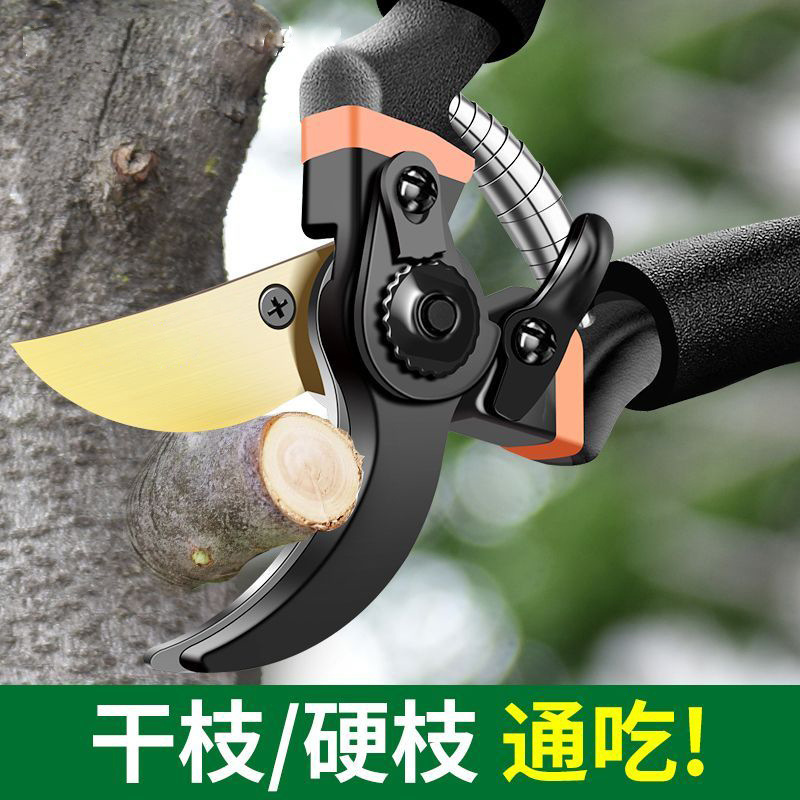 SK5 剪定はさみ、庭の花の剪定はさみ、果樹はさみ、太い花はさみ、園芸はさみツール|undefined