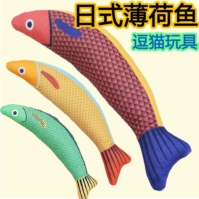 Кошка от привет, толерантность к царапинам, кошачья плюшевая игрушка Игрушка Мятная сайра Мятная рыба