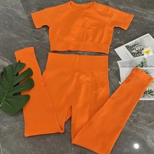 BOTEE欧美螺纹针织文胸长裤套装女运动健身服工厂现货跨境无缝瑜