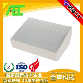 扬声器;汽车喇叭;公共广播系统