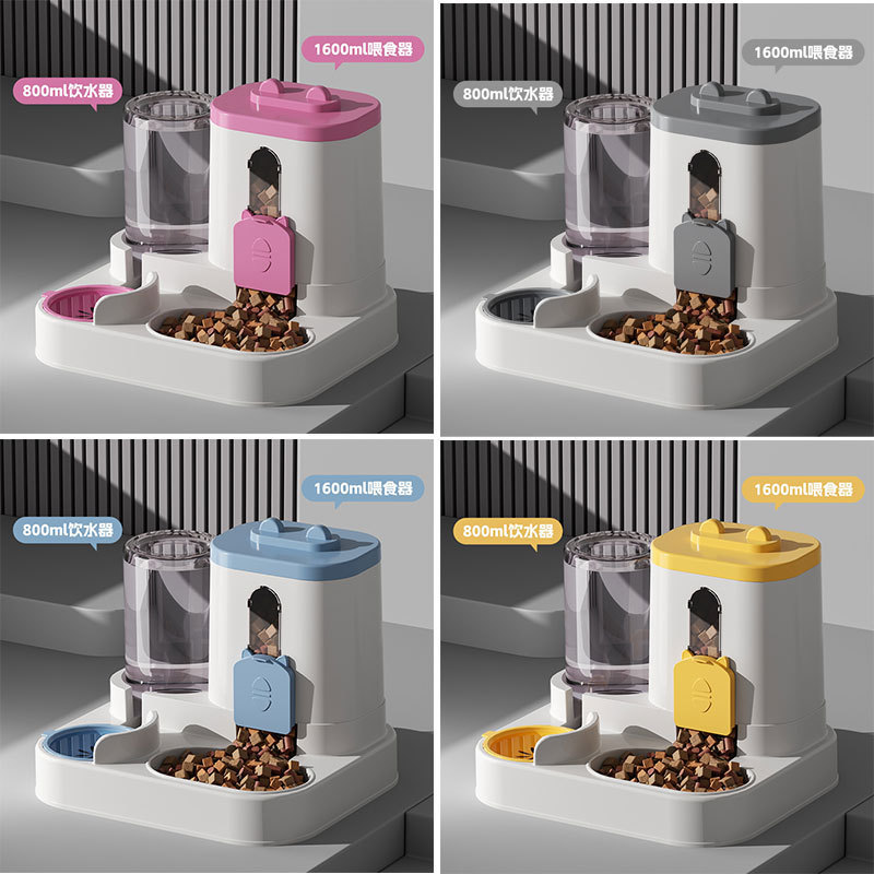 Color aleatorio del oído del gato + Certificado de calificación