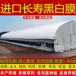 Imported Thickened Greenhouse Film, Long-Lasting Breeding Black and White Film, Sun Protection Green and White Film, Anti-Aging, Heat-Insulating, Reflective and Anti-Seepage Film
