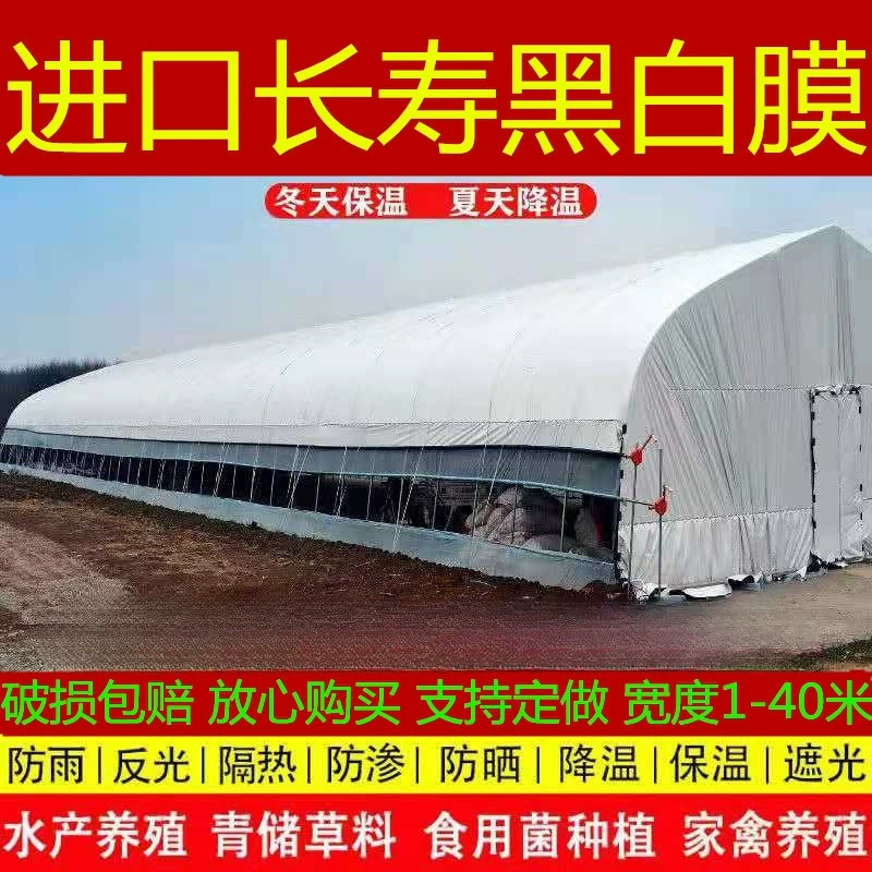 Импортная утолщенная пленка для теплиц, долговечная черно-белая пленка для разведения, солнцезащитная зелено-белая пленка, антивозрастная, теплоизоляционная, отражающая и противопротечная пленка.