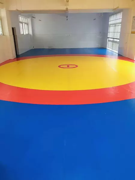 Special Wrestling Mat XPE High Elastic Chinese Wrestling Training Mat Freestyle Wrestling Match Three Color Wrestling Mat Cover Single