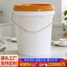 15Lkg塑料桶 塑料壶 涂料肥料桶 防腐蚀防冻液机油瓶桶废液塑料桶