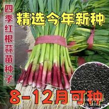 һ���ļ�������������� �������ӲҶ��������������ֲ��������