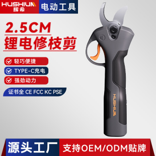 SֱN羳Qoˢ֦Type-C늹֦@ּ