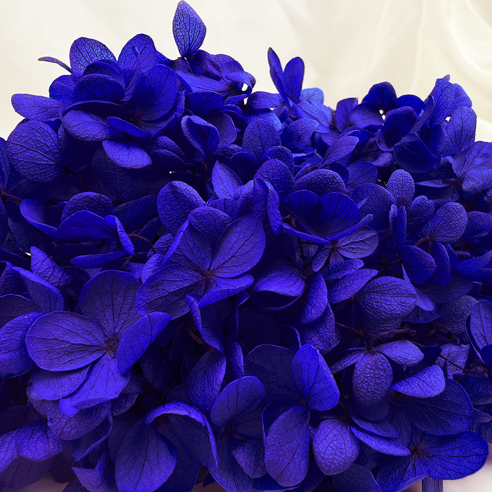 Flores de hortensia preservadas de calidad A+ del fabricante de Yunnan, flores preservadas en caja de 20g.