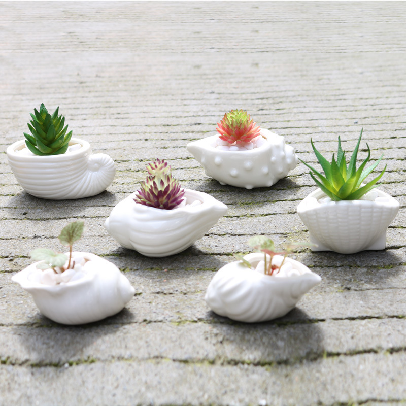 Ceramic Shell Pots