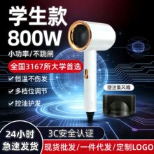 家用高速吹风机大风力静音学生宿舍酒店恒温护发电吹风理发店专用