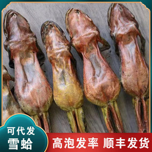 �����L��ɽ���a���������ѩ��ɸ���͸�ɢ�b��ֻѩ���͸�؛���l