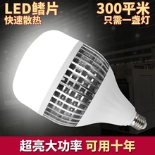 led���V��V���͹��S�����m���S�}�쌣���������҃���Ƭ���ܟ���