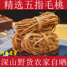 ��ָë�Ҹ���ș�ďV����ָë��������؛��צ��ţ�̸�ʳ�ĸ�؛�Ҝ�
