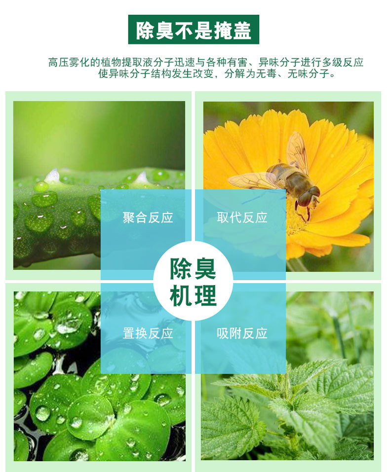 植物液除臭剂除臭机理.jpg