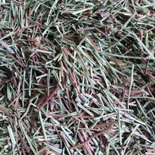 ��� ���~��ë�Rβ���ɽ��횵��G�ɘ��~���жθ�؛ ����� �䱳