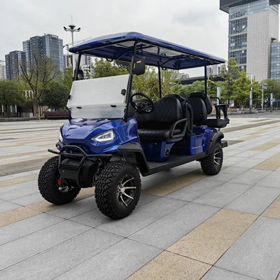 Car/Sightseeing Car, Gaofe Auto Parts and Accessories