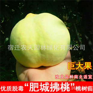 �޽�����4̖�Ҙ����ش������ͺ�ͥԺ�Nֲ���Ե��Ԯ���Y��������