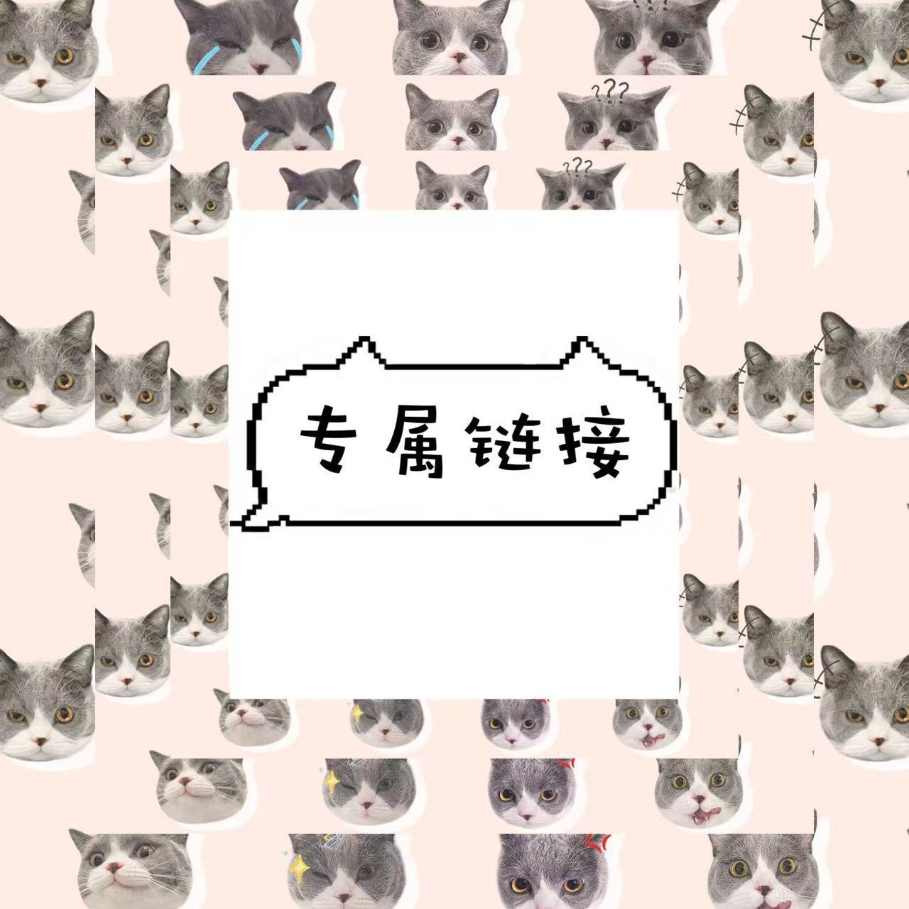 闪电仓专属链接（非对应勿拍）