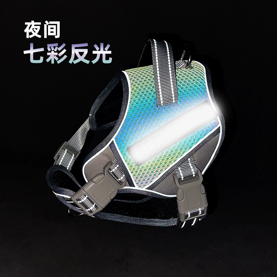 Красочный светоотражающие нагрудные ремни ночью