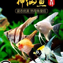 ���ɟᎧ�~�^�p�~�ʯ�[�����~ˮ�ݸ׻��w����t���^���w