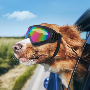 Cross-border new dog goggles dog glasses waterproof windproof snow UV sunglasses pet glasses wholesale