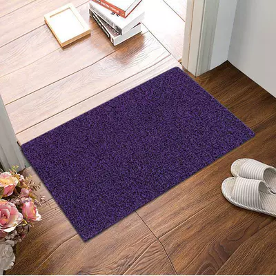 Avtomobil döşəmə paspasları — hall entrance mat can be - extra-thick-black-purple-4060cm