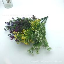 ����ֲ�� ���~�� ֲ�������m�� ���̾G���c�Y �řڲ廨��