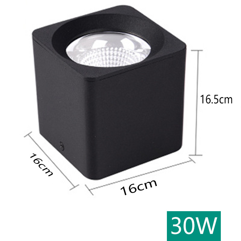 30w white light [6000k] black shell