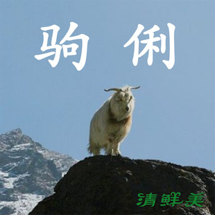 �����r�����½���ɽСɽ���� ѩɽ�����x���� ��ֻ�߽� ��S���]