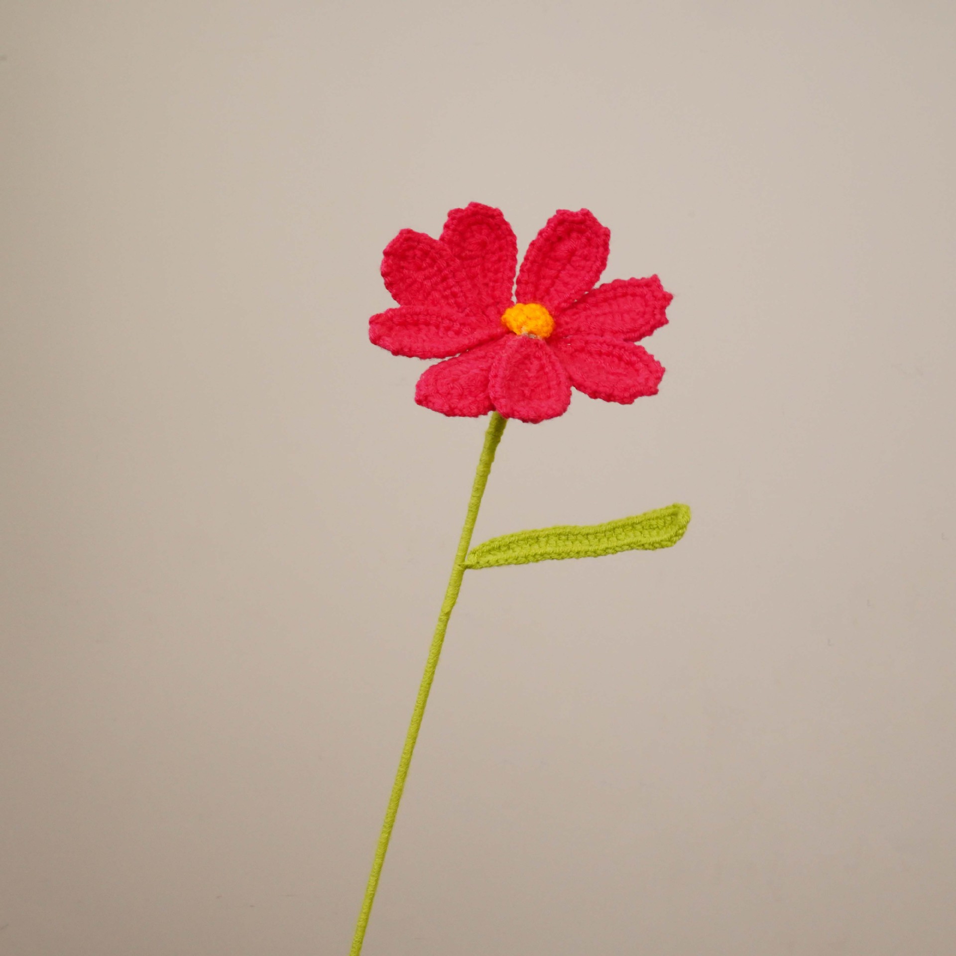 게상 꽃 수박 레드