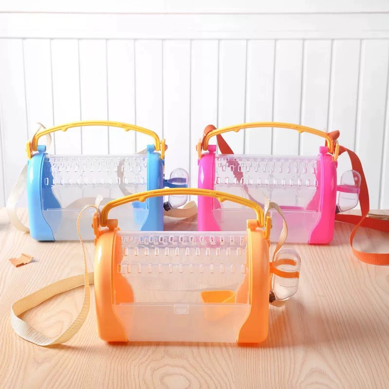 Коробка с золотым шнурком для хомяка