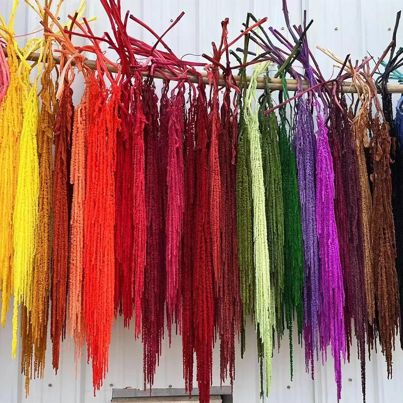 Hanging Rice Everlasting Flower Rilis Dry Flower Bouquet High-end Instagram Opening Wedding Hotel Decoration Mother's Day Gift