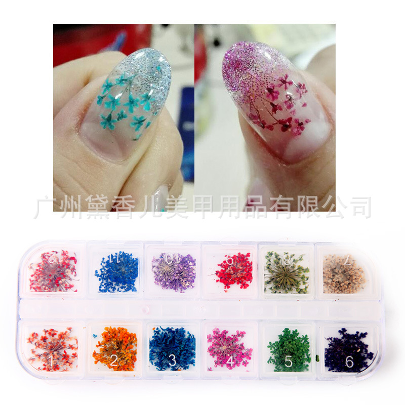 12-color largo grande flor seca manicura encaje flor seca manicura tridimensional flor seca flor real 24 uñas flor seca joyería