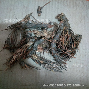 Pβ,e,Pβ,P˲,㾰,lșPβ