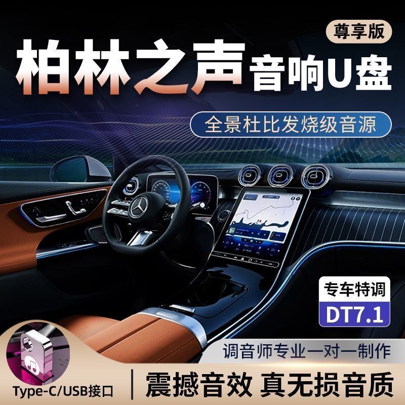 Vinyl Chip 2025 Upgraded Car USB Flash Drive [Berlin Sound Hifi Sound Quality] Master Tape Source Recording